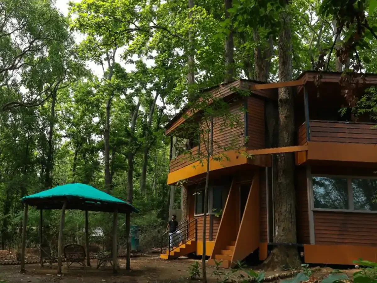 A comfortable jungle lodge at dusk