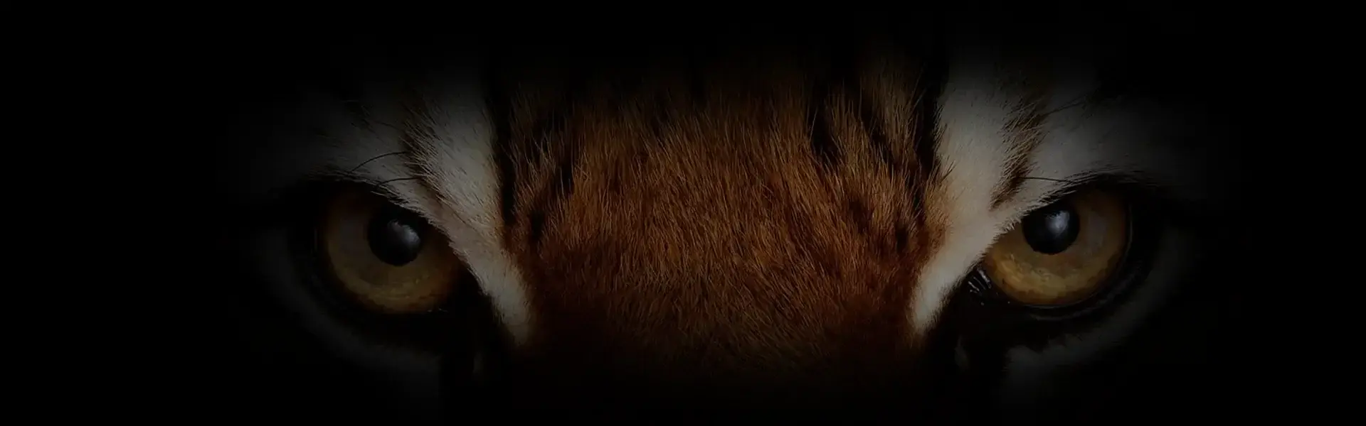 Kanha