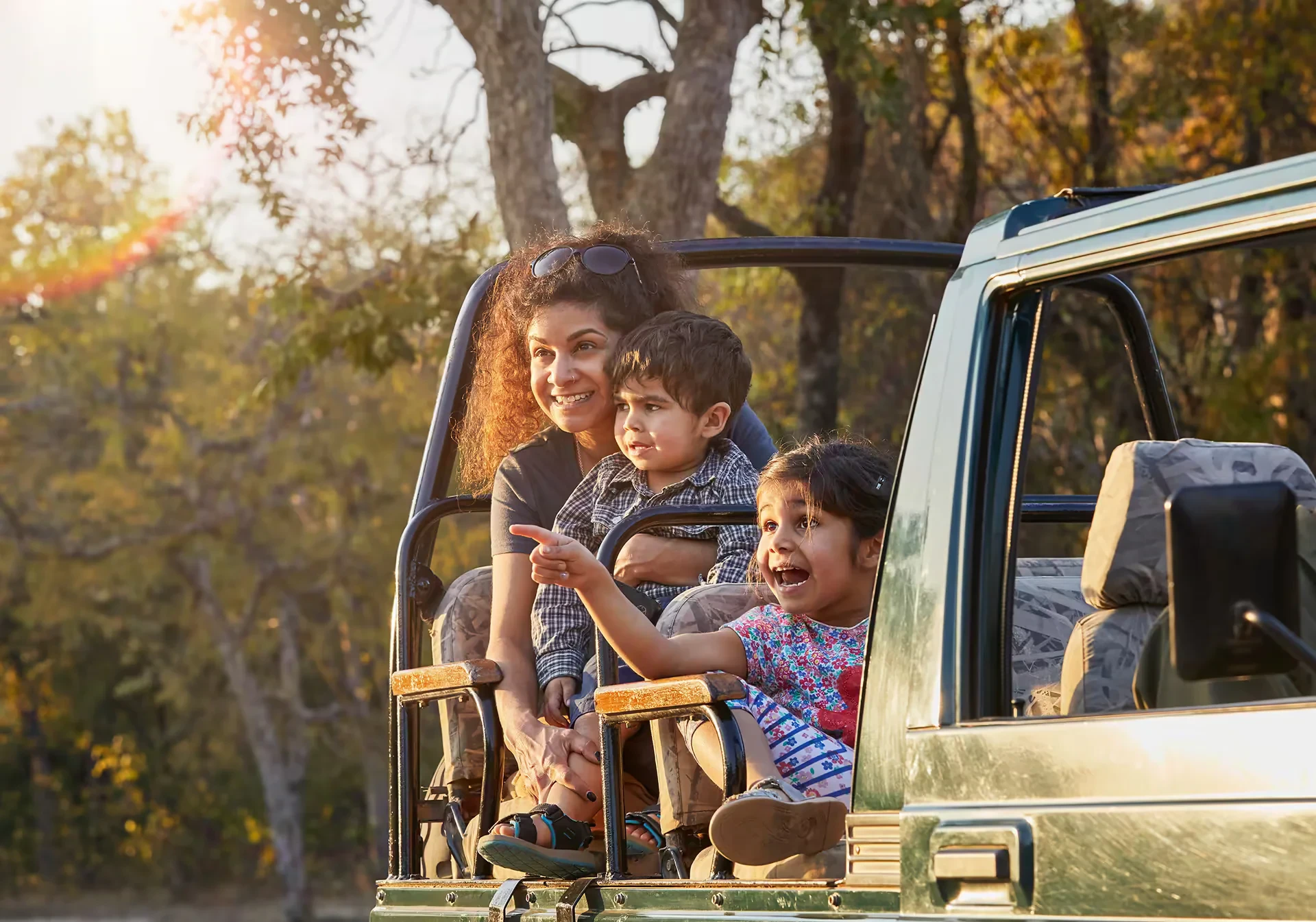 A safari vehicle on a forest trail